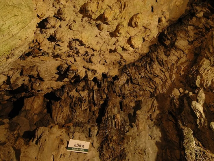 room_image