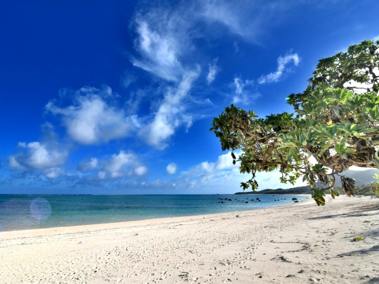 グランピングリゾート ヨーカブシ