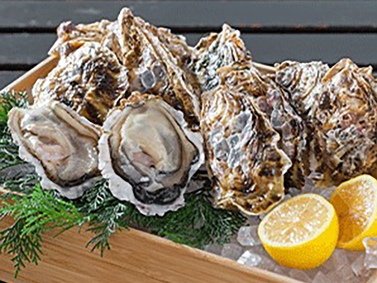 dinner_image