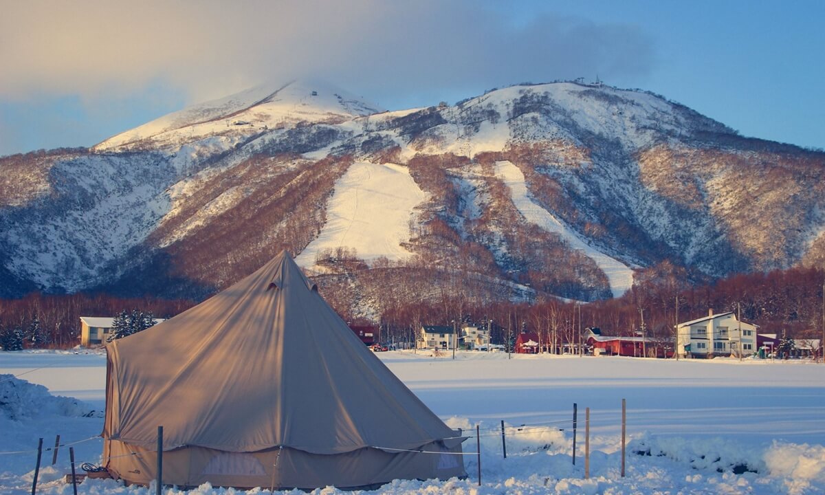 【ニセココテージボンゴ広場｜北海道】グランピング施設の比較・予約なら GLAMPICKS