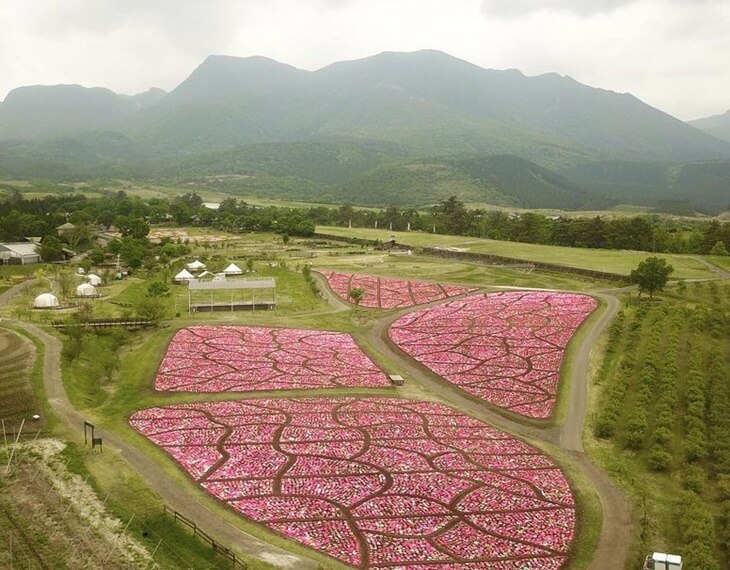 くじゅう花公園 花と星 九州 大分県 グランピング施設の比較 予約なら Glampicks