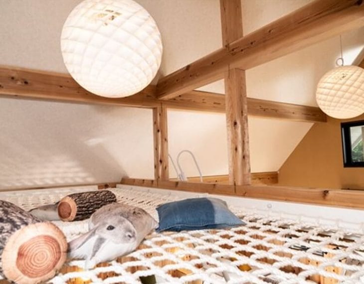room_image