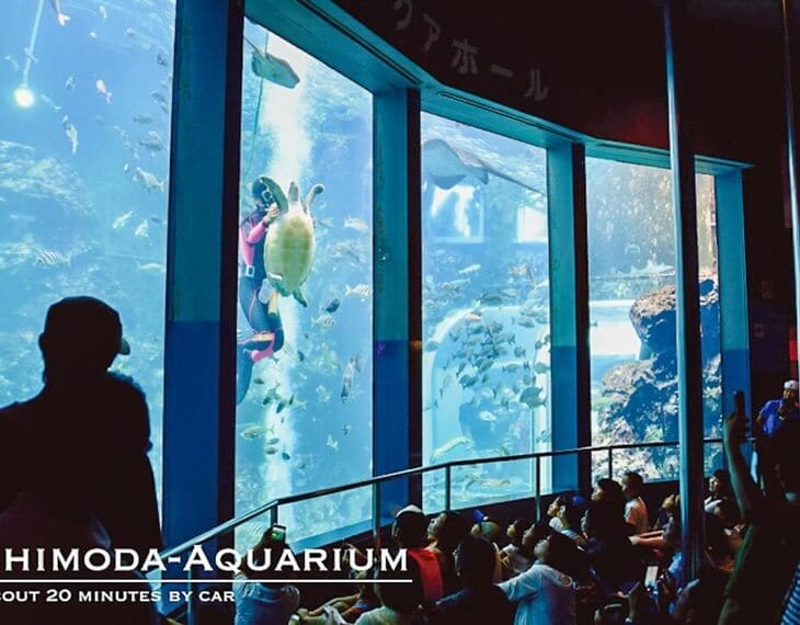 下田海中水族館 写真