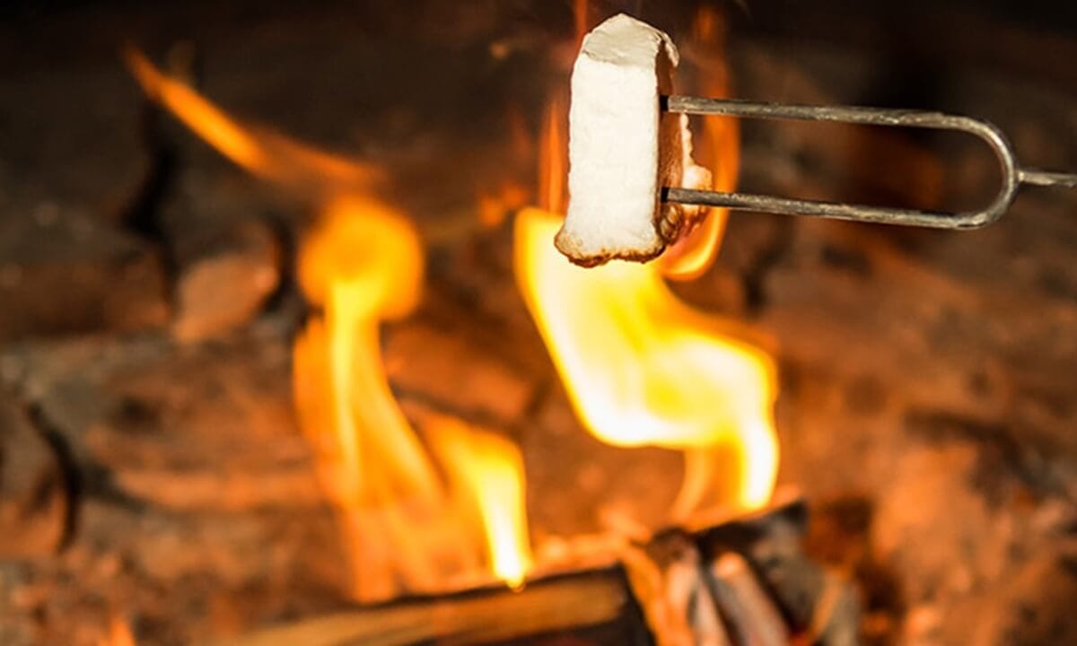 伊豆シャボテンヴィレッジ 焼きマシュマロ写真