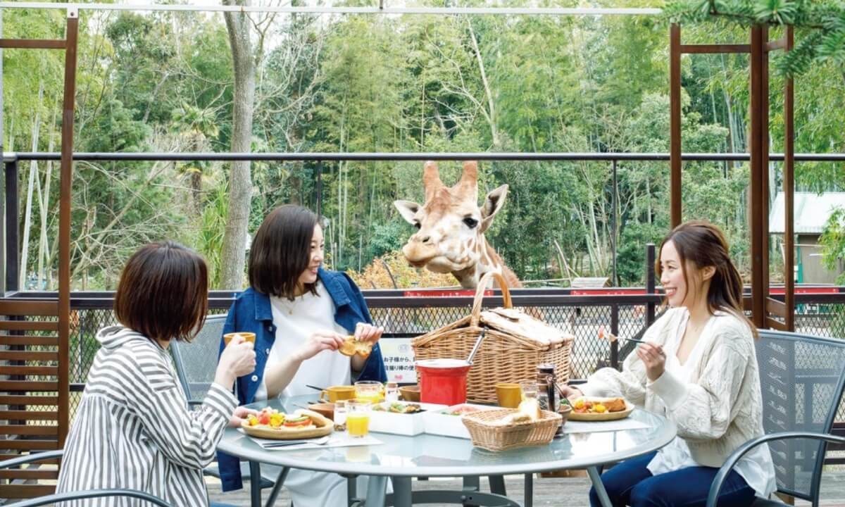 グランピング 高級 関東