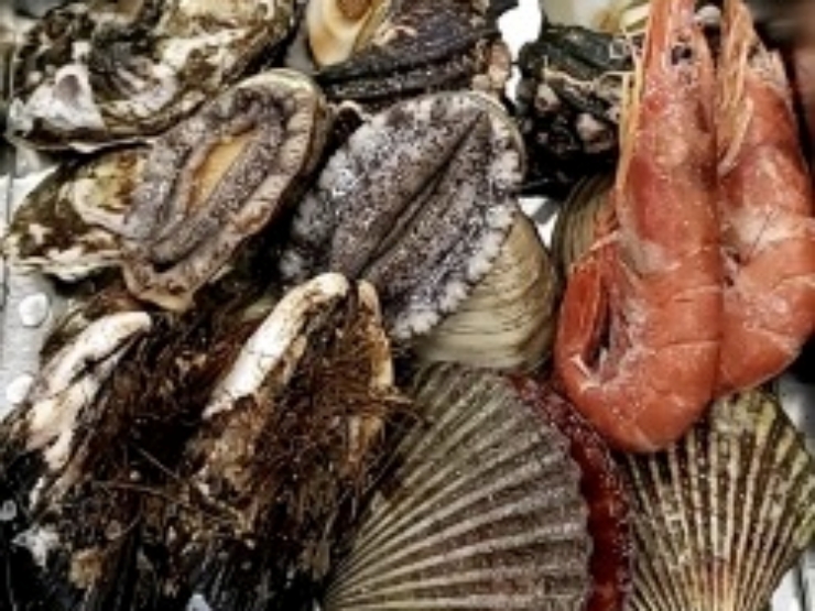 ドルフィンファームしまなみオートキャンプ場