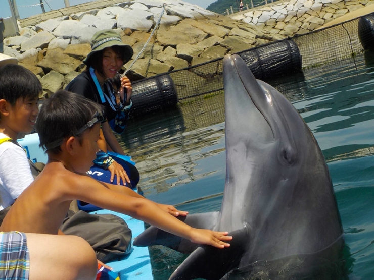 ドルフィンファームしまなみオートキャンプ場