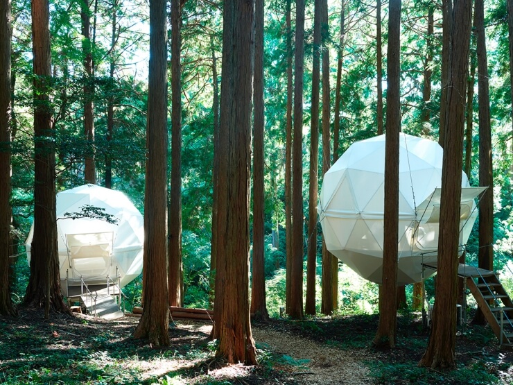 Concept image