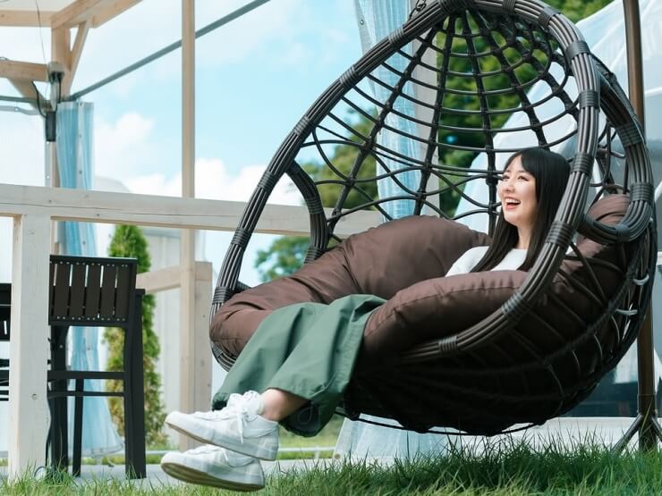 Concept image