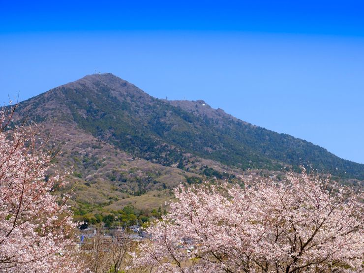 春の筑波山