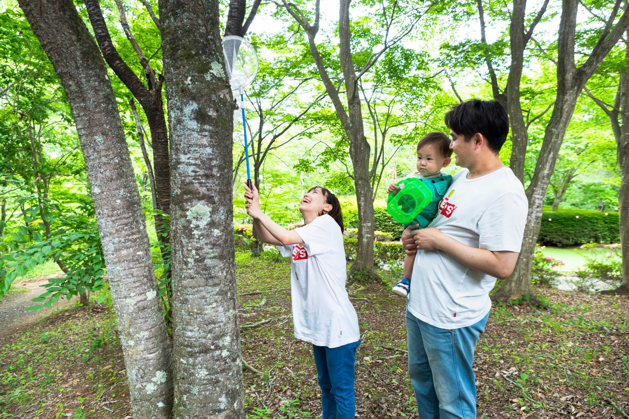 ザランタンひたち大宮（関東・茨城県グランピング施設）の夏・体験・カブトムシ