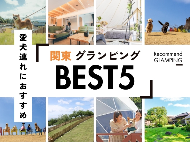 【2025年最新】犬連れ必見！関東で愛犬と泊まれるグランピング施設5選