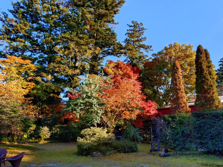 スワンレイク 五十嵐邸ガーデン 新潟阿賀野リゾート