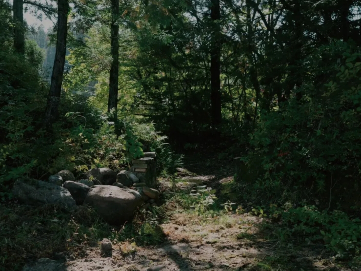 room_image