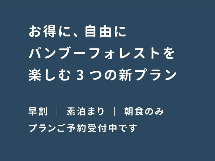 THE BAMBOO FORESTの新プラン