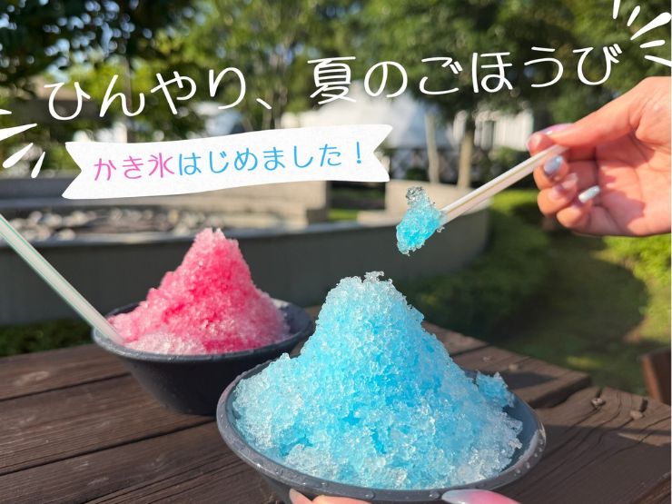 activity_image