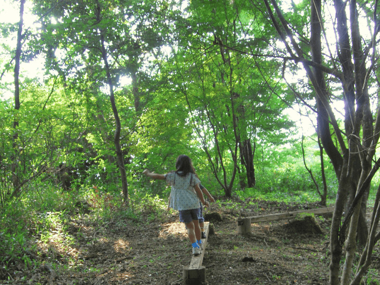 ザランタン三瀬高原の森のアスレチックで子供が木の上で遊ぶ様子