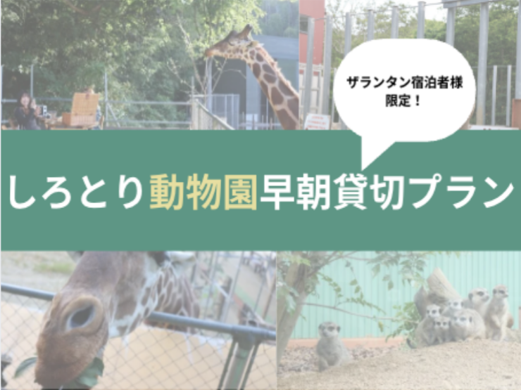 activity_image