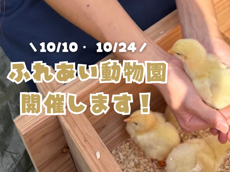 ザランタンあば村で開催するふれあい動物園のお知らせ