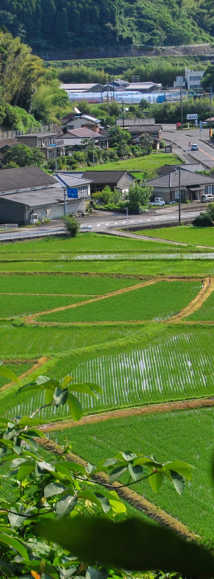 施設の写真
