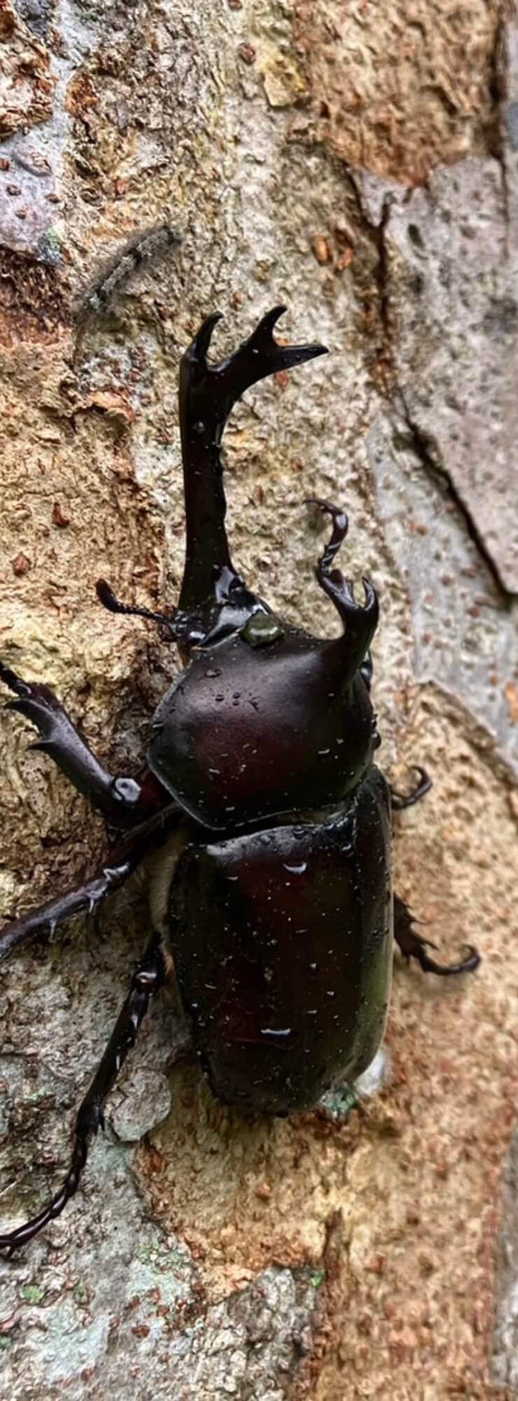 施設の写真