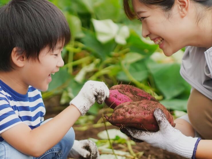 かいづか いぶきヴィレッジ