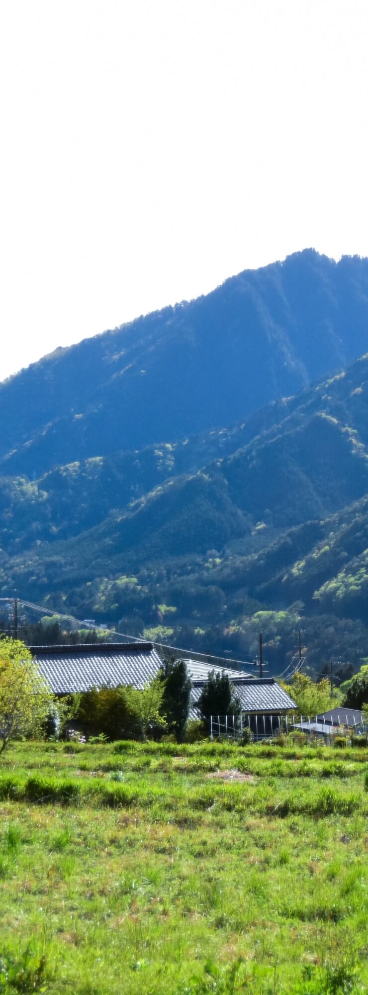 施設の写真