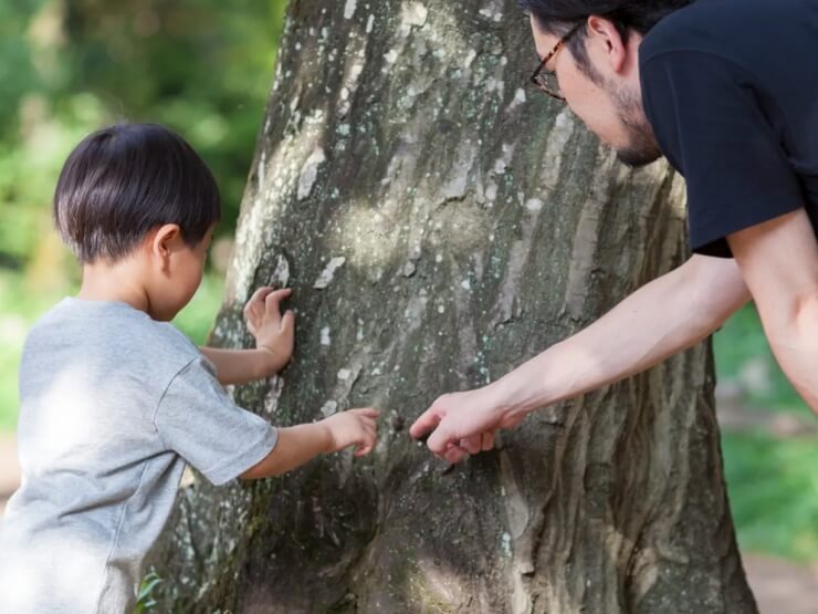 森で虫探しをする親子
