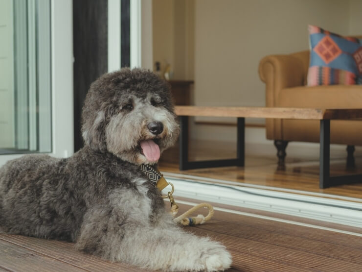 中伊豆EAST WINDS VILLAGE