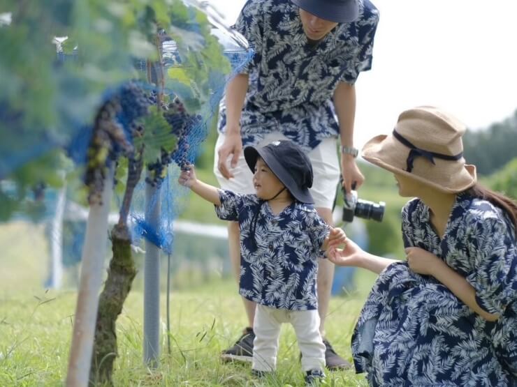 中伊豆EAST WINDS VILLAGE(東海・静岡県グランピング施設)の景観