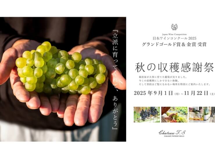 中伊豆EAST WINDS VILLAGE(東海・静岡県のグランピング施設)の体験・イベント