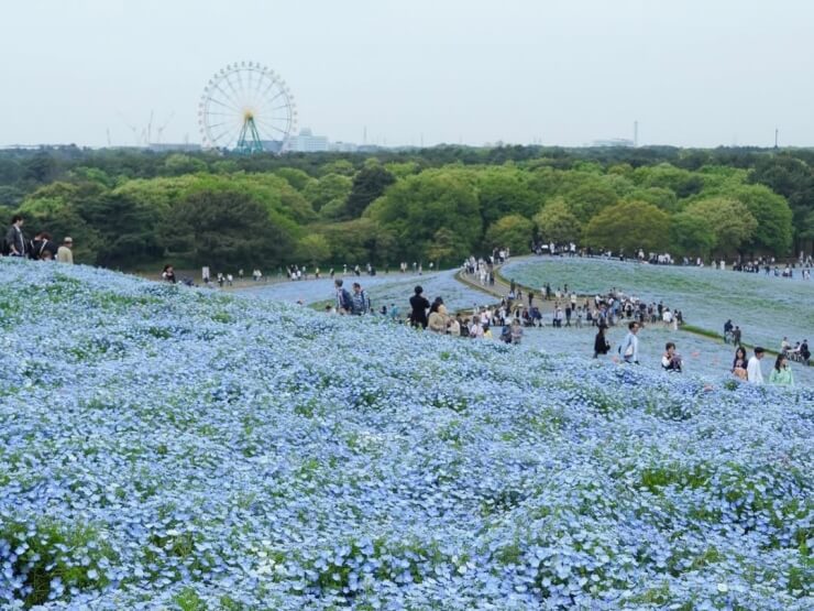 SIGHTSEEING image
