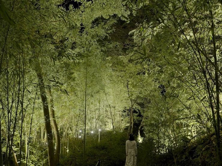 Concept image