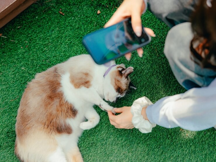 CROCEグランピング