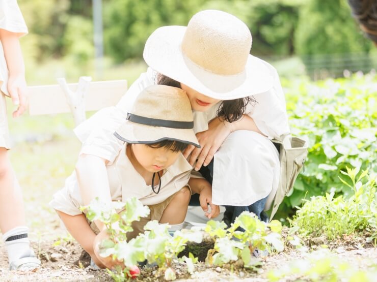 親子で野菜収穫体験をしている様子