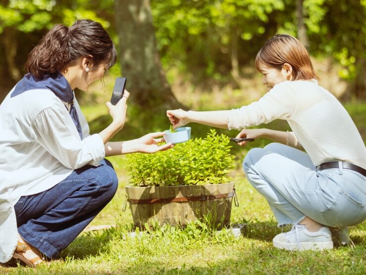 ハーブ詰み体験をしている様子