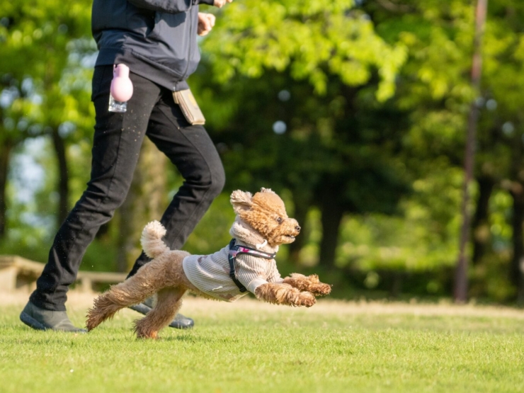 隠れ家village 薪のくつろぎ 蔵王