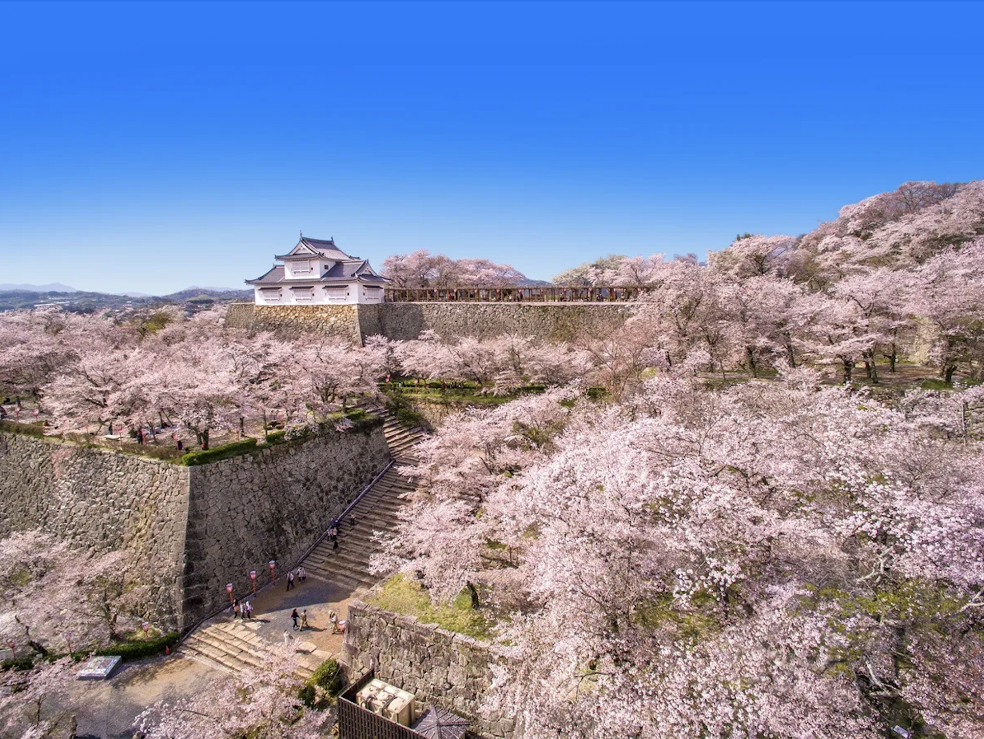 【3/28~4/12】津山さくらまつりと一緒に楽しむ、春の里山ステイ