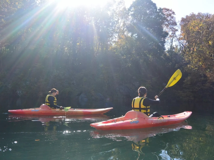 Morethan Paradise｜モアザンパラダイス