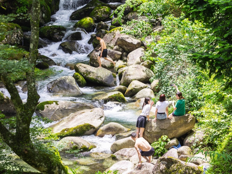 渓流で遊んでいる様子