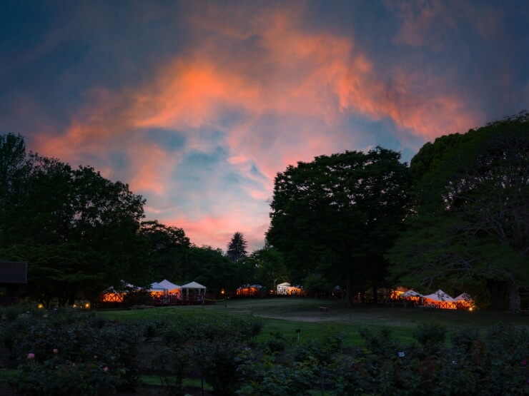 THE BOTANICAL RESORT 林音
