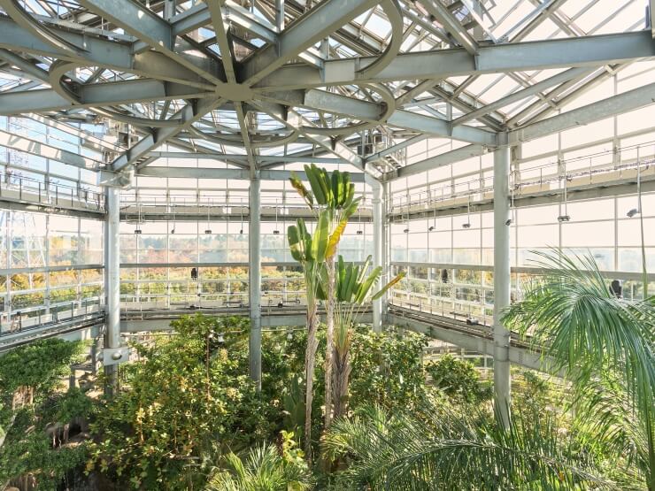 THE BOTANICAL RESORT 林音