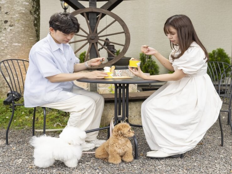 ハミルズフォレスト with Dog