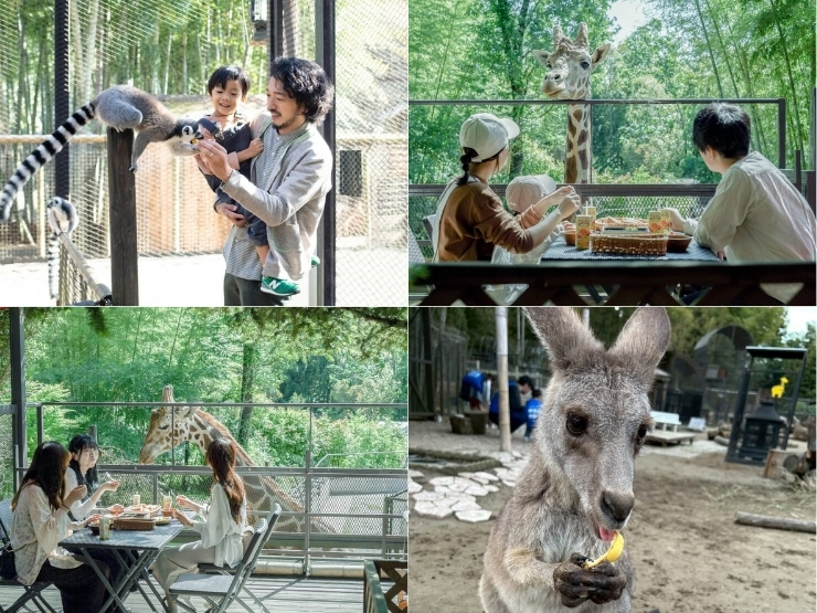 THE BAMBOO FORESTのアクティビティ