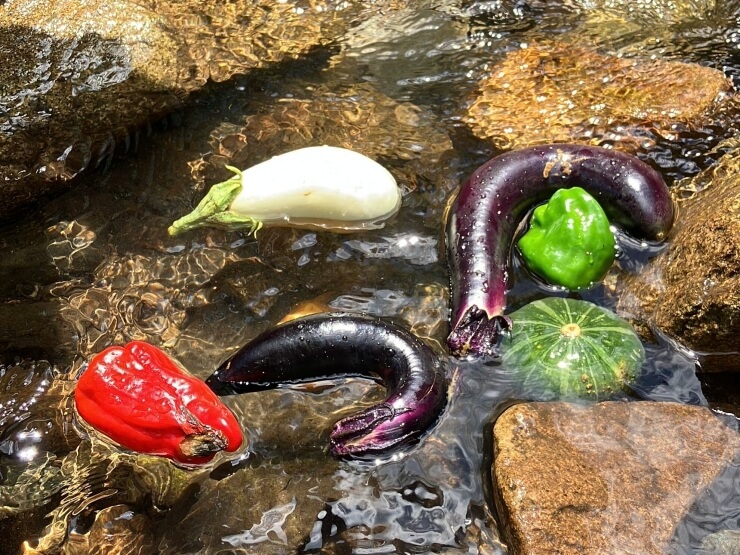 野菜を川で洗っている様子