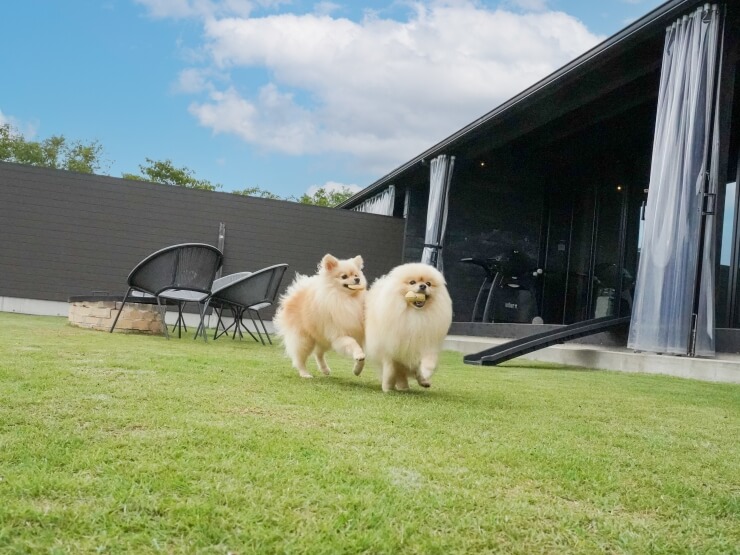 伊勢海悠 Con Perro～グランドッグ伊勢賢島～